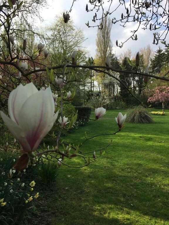 Le Domaine Des Loups Hotell Souchez Eksteriør bilde
